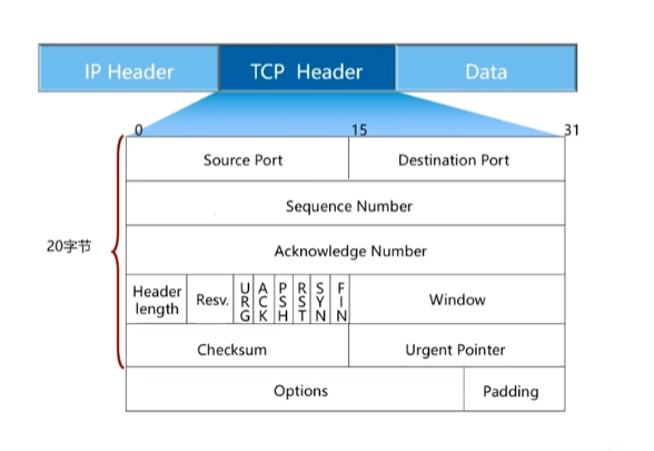 TCP 报文结构